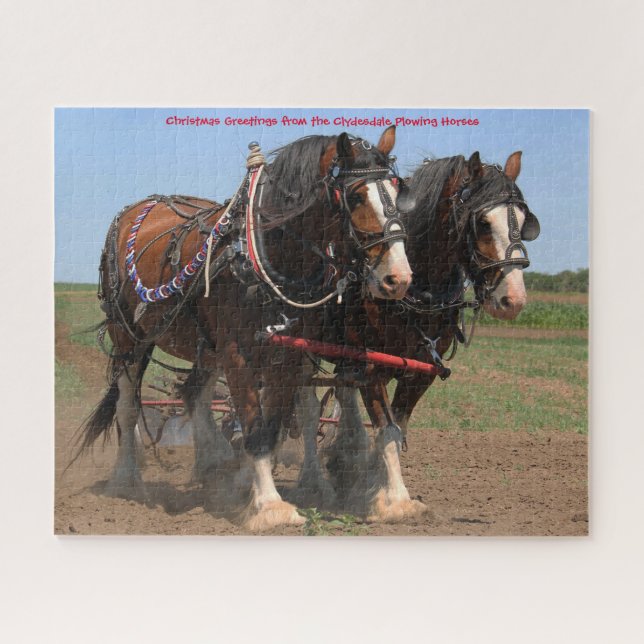 Cavalos Clydesdale Arando. Quebra-cabeça (Horizontal)