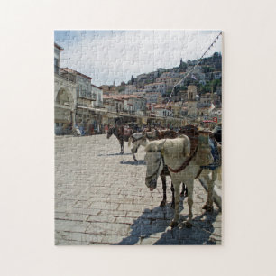 Cavalos da ilha de Hydra veem quebra-cabeça