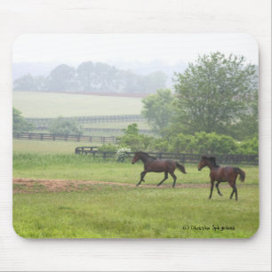 Cavalos da manhã que funcionam Mousepad