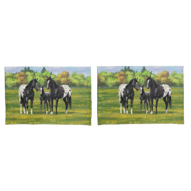 Cavalos de Appaloosa Pretos Na Pastagem De Verão (Frente - conjunto)