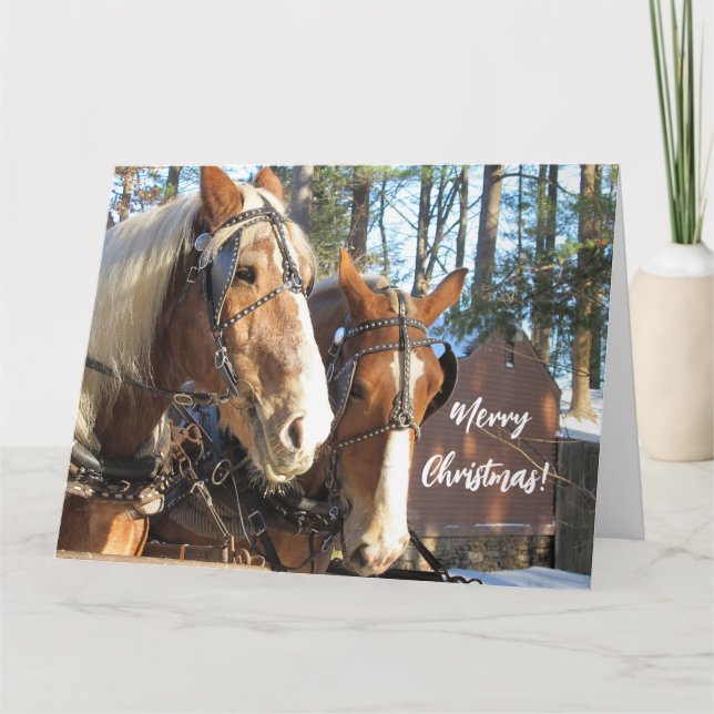 Cavalos de Inverno no Cartão de Natal de Sturbridg (Frente)