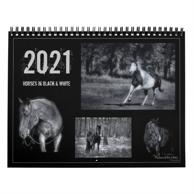 Cavalos de Preto e Branco - Calendário dos Equinos (Capa)