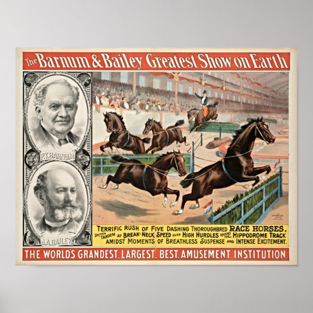 Cavalos de raça pura Poster (Frente)
