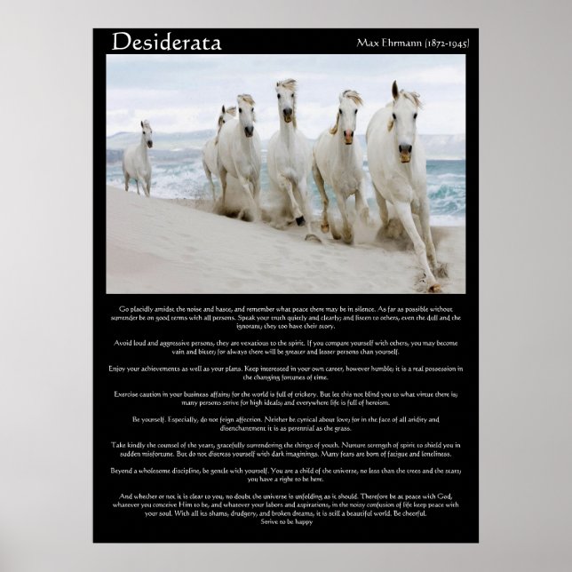 Cavalos Desiderata Posters (Frente)