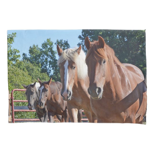 Cavalos dirigidos de volta ao celeiro (Frente)