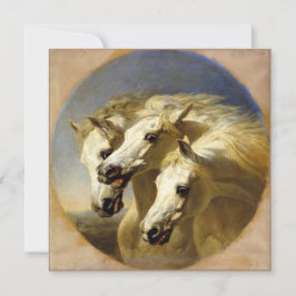 Cavalos do Faraó 1848 JF Herring, Cartão Sr de Alt