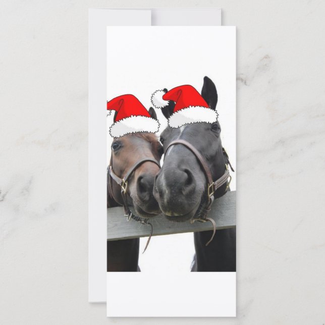 Cavalos do País de Natal (Frente)