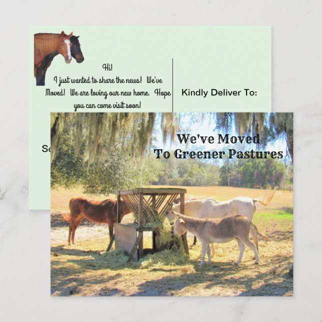 Cavalos e Cartão de Posto de novo endereço de burr (Frente/Verso)