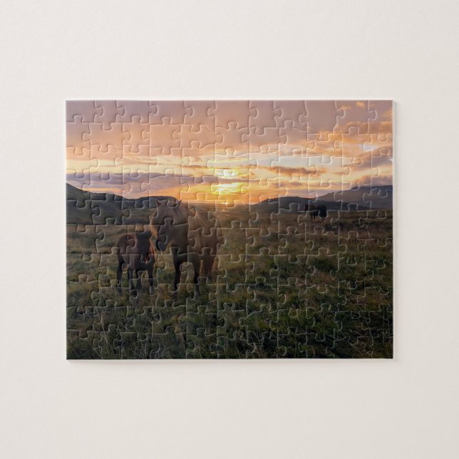 Cavalos Islandeses quebra-cabeça (Horizontal)