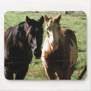 Cavalos Mousepad