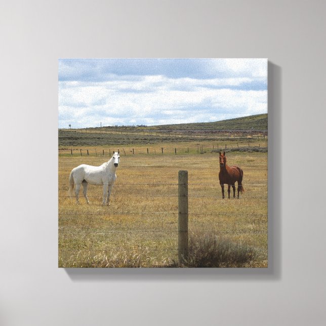 Cavalos na Canvas de Wyoming (Frente)