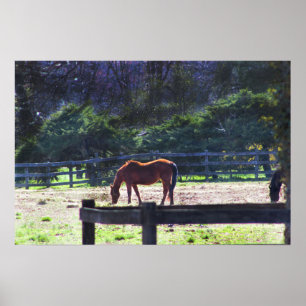 Cavalos na Poster de Fazenda