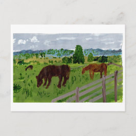 Cavalos num cartão postal de pastagem encantador