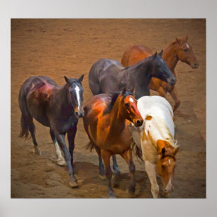 Cavalos Poster