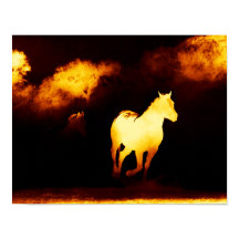 Cavalos Pretos e Dourados Correndo Poster
