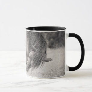Cavalos que beijam a caneca
