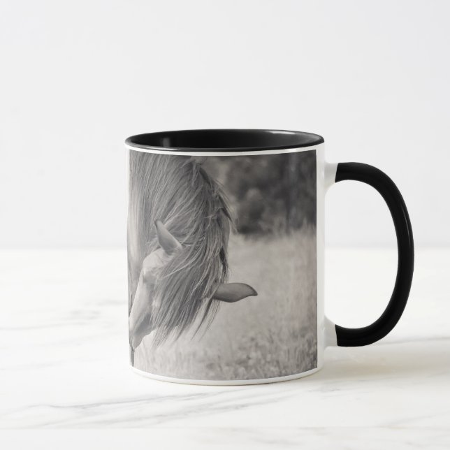Cavalos que beijam a caneca (Direita)