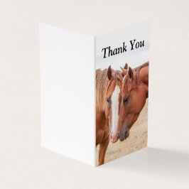 Cavalos que se infundem numa pastagem