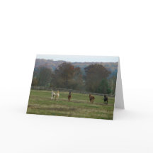 Cavalos Running, cartão