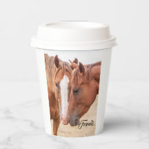 Cavalos se acariciando em uma pastagem 