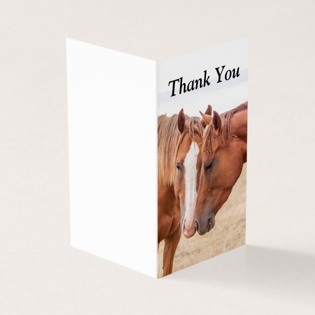 Cavalos se babando em uma pastagem (Exterior)