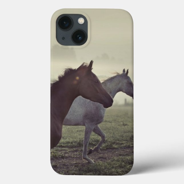 Cavalos selvagens (Verso)