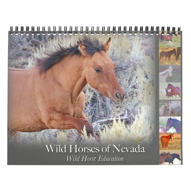 Cavalos selvagens, calendário (Capa)