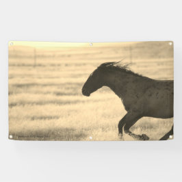 CAVALOS SELVAGENS DE BANNER UTAH COM GROMMET