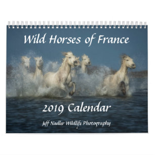 Cavalos selvagens de France - calendário de pared