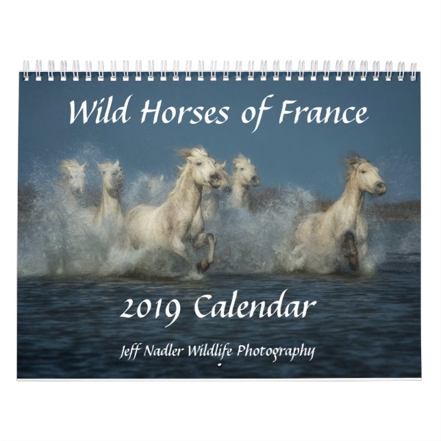 Cavalos selvagens de France - calendário de parede (Capa)