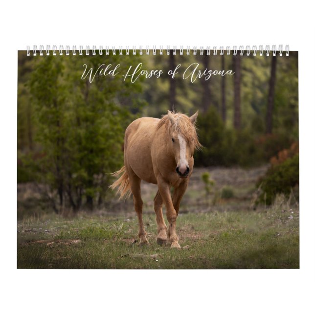 Cavalos Selvagens do Calendário de Arizonas (Capa)