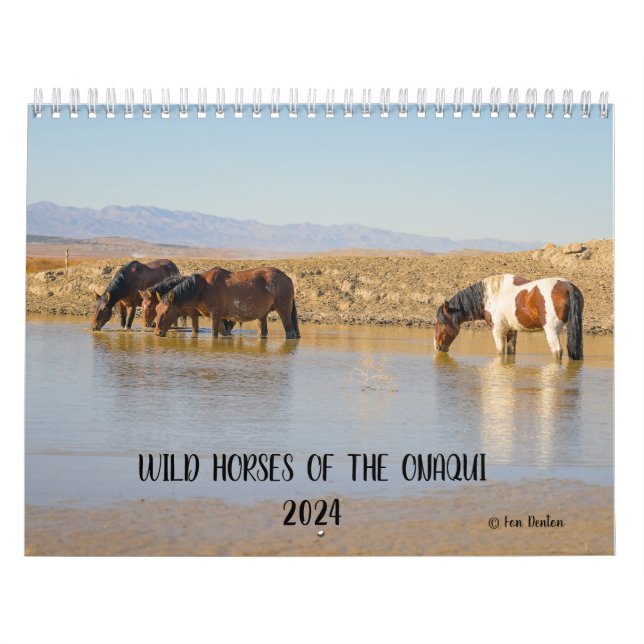 Cavalos Selvagens do Onaqui - Calendário 2024 (Capa)