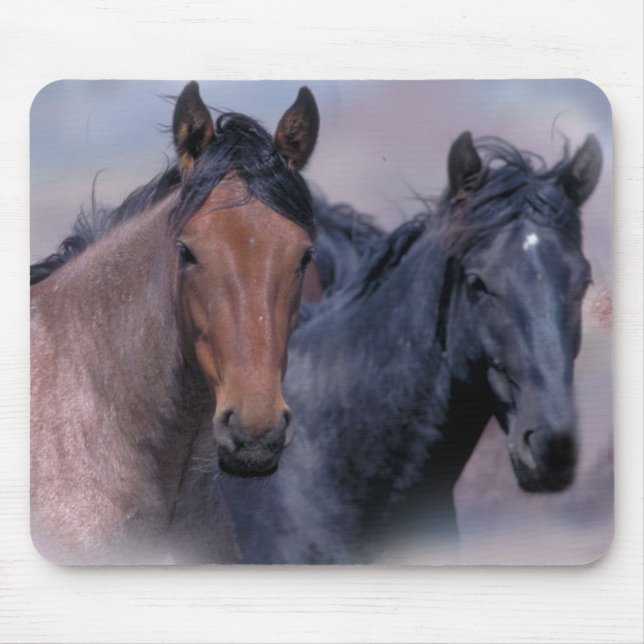 Cavalos selvagens & Mousepad maravilhoso (Frente)