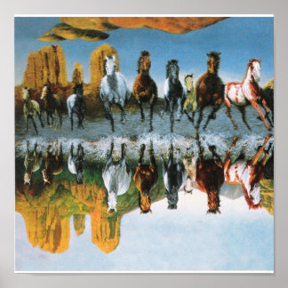 Cavalos selvagens Poster