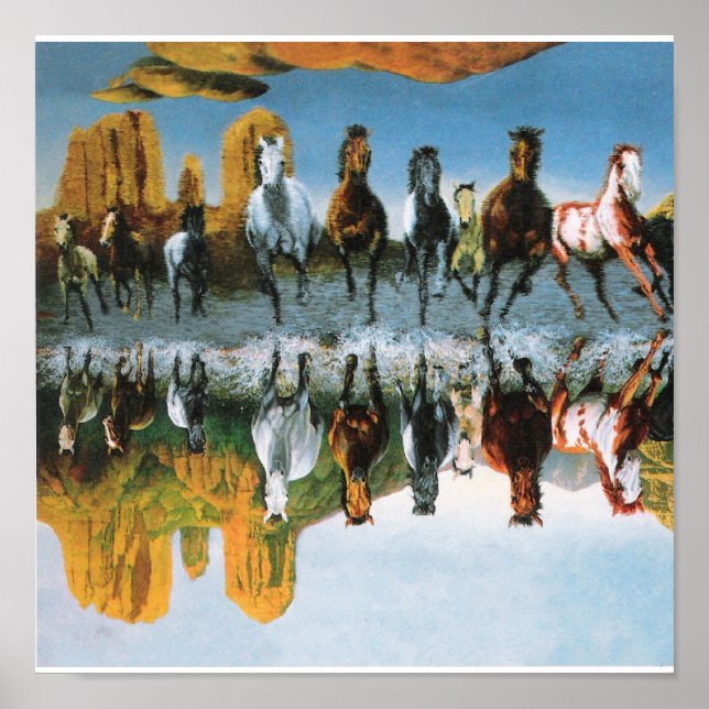 Cavalos selvagens Poster (Frente)