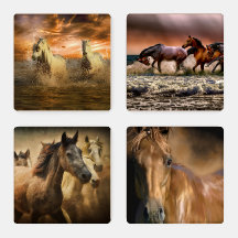 Cavalos selvagens russos na natureza