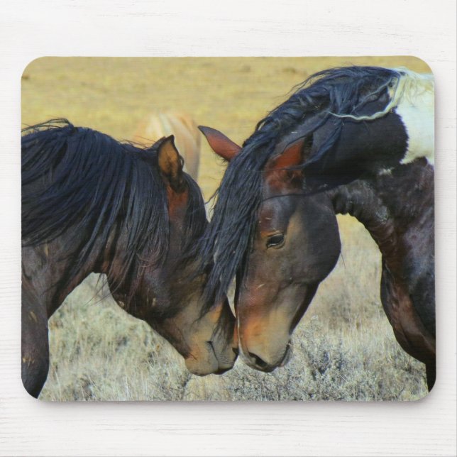 Cavalos Selvagens Tocando Noses Mousepad (Frente)