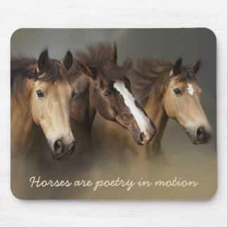 Cavalos selvagens três Mousepad