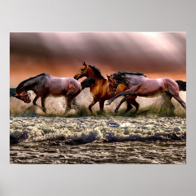 Cavalos Stallion em Beach Photo Nature Wall Poster (Frente)