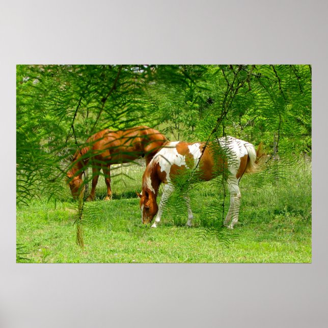 Cavalos Verdes Folhas 11 x 85 Poster (Frente)