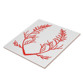 Cedar sai em um Azulejo cerâmico branco