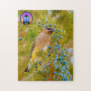 Cedar Waxwing Quebra-cabeça