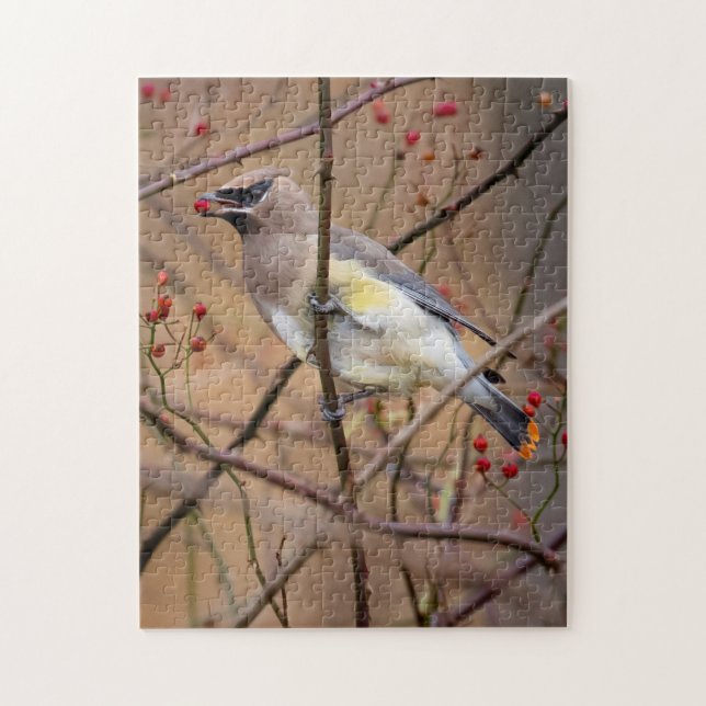Cedar Waxwing | Quebra-cabeça de serra (Vertical)