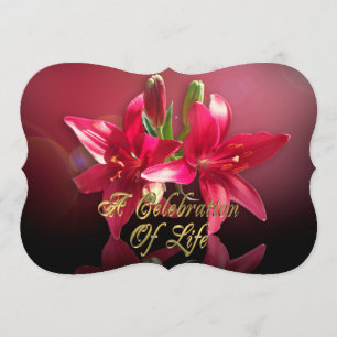 Celebração da vida Convite à Lily Asiática