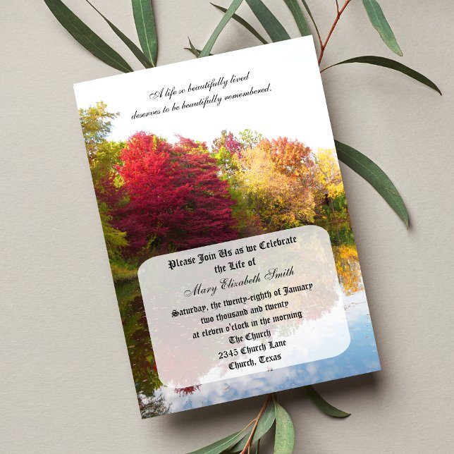 Celebração do Convite à Vida (Criador carregado)