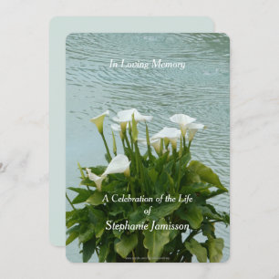 Celebração do Convite à Vida Calla Lily Floral