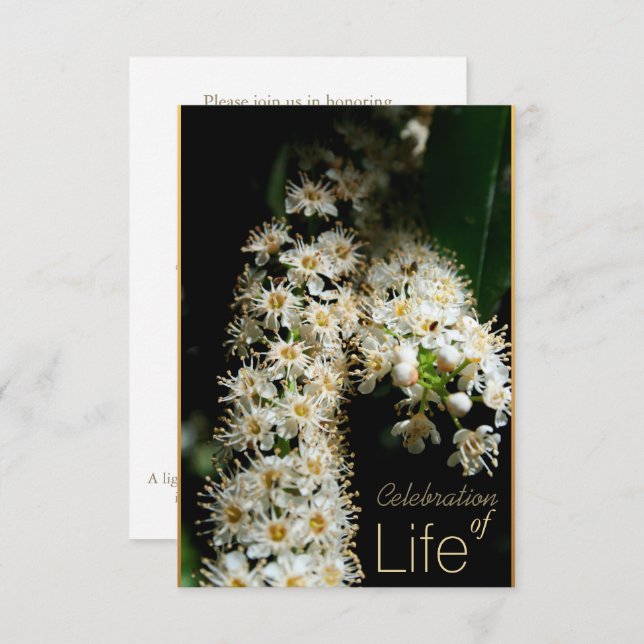 Celebração Floral do Life 3 Convite (Frente/Verso)