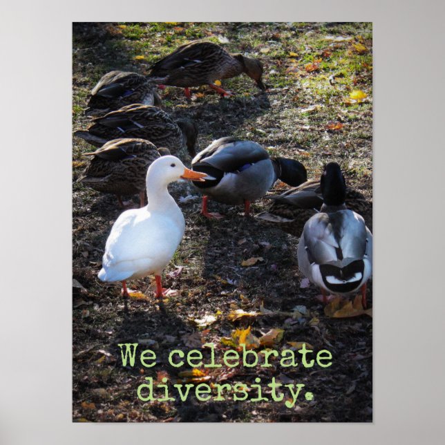 Celebramos a Poster da diversidade (Frente)