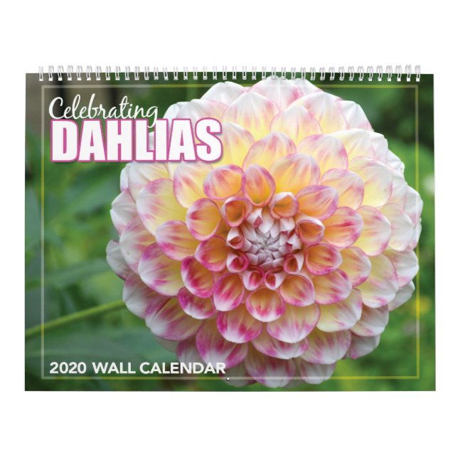 Celebrando o Calendário da Parede Dahlias 2020 (Capa)