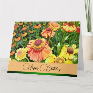 Celebrando Você - Cartão de Aniversário